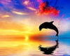 paint by numbers kit Jumping Dolphin Silhouette