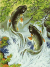 paint by numbers kit Koi Fish