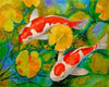 paint by numbers kit Koi Fish In A Pond