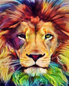 paint by numbers kit Majestic Lion 1