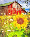 paint by numbers kit Old Barn and Sunflowers