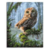 paint by numbers kit owl painting