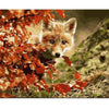 paint by numbers kit Red maple leaf fox Animal