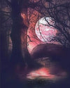 paint by numbers kit Red Moon Trees - Custom paint by number