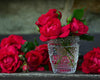 paint by numbers kit Red Roses in glass cups