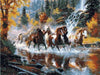 paint by numbers kit River Horse