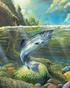 paint by numbers kit Salmon Fish