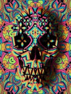 paint by numbers kit Skull Geo Twos - Custom paint by number