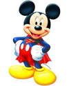 paint by numbers kit Superman Mickey Mouse