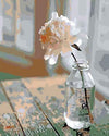 paint by numbers kit The Flower in a glass bottle