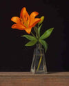 paint by numbers kit The Orange Flower in a glass vase