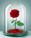 paint by numbers kit The Red Rose