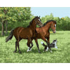 paint by numbers kit Two Horses Puppy Dog