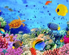 paint by numbers kit Under Water Colorful Fishs