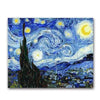 paint by numbers kit Vincent Van gogh Starry night