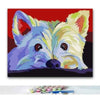paint by numbers kit Westie Yorkshire Dog