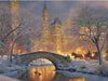paint by numbers kit Winter Scenery In New York - Custom paint by number