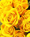 paint by numbers kit Yellow Roses - Custom paint by number