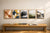 5 Paint-by-Numbers Themes for Modern Interiors