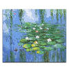 paint by numbers kit Claude Monet 5 - Custom paint by number