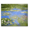 paint by numbers kit Claude Monet Water Lilies - Custom paint by number