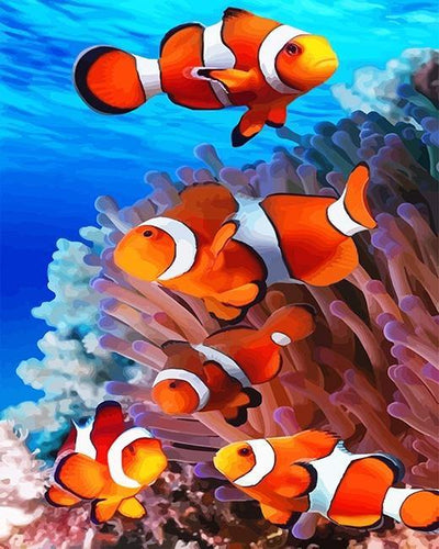 paint by numbers kit Colorful Clown Fish - Custom paint by number