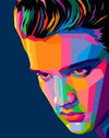 paint by numbers kit Colorful Elvis Presley - Custom paint by number