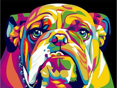 paint by numbers kit Colour Pop Series- English Bulldog - Custom paint by number