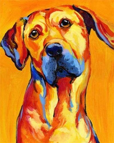 paint by numbers kit Coloured Dog 3 - Custom paint by number