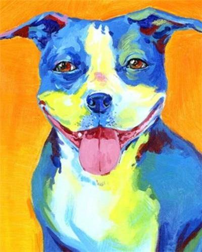 paint by numbers kit Coloured Pitbull - Custom paint by number