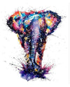 Colourful Elephant