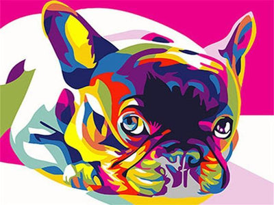 paint by numbers kit Colourful Frenchie - Custom paint by number