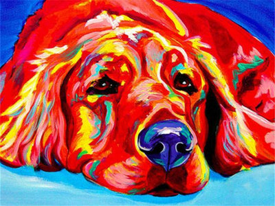 paint by numbers kit Colourful Labrador - Custom paint by number