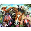 paint by numbers kit Crazy Bunch Horses - Custom paint by number