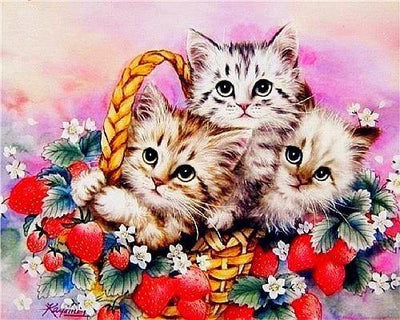 paint by numbers kit Cute Cats 15 - Custom paint by number
