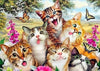 paint by numbers kit Cute Cats 5 - Custom paint by number