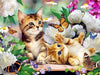paint by numbers kit Cute Cats 7 - Custom paint by number
