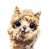 paint by numbers kit Cute lama - Custom paint by number