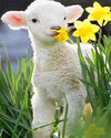paint by numbers kit Cute Little Lamb - Custom paint by number