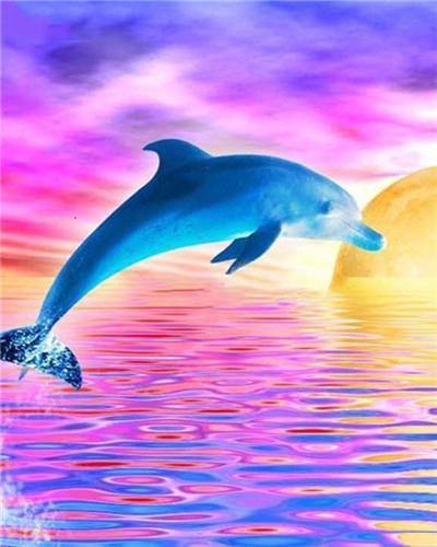 paint by numbers kit Dolphin In Tropical Sea - Custom paint by number