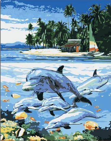 paint by numbers kit Dolphin Near The Beach - Custom paint by number