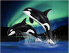 paint by numbers kit Dolphins Playing In Northern Lights - Custom paint by number