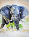 paint by numbers kit Elephant Colourful 1 - Custom paint by number