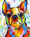 paint by numbers kit Frenchy in Colour - Custom paint by number