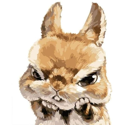 paint by numbers kit Grumpy bunny - Custom paint by number
