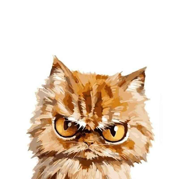 Buy Paint by Numbers Kit Grumpy Cat Online