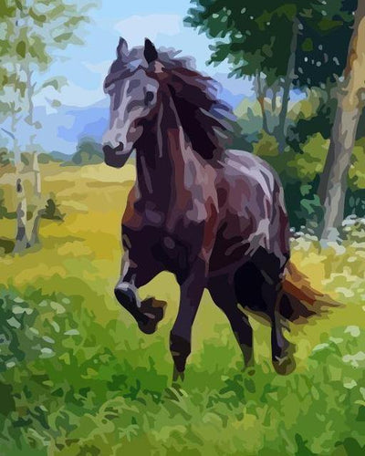 paint by numbers kit Horse 19 - Custom paint by number