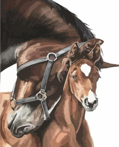 paint by numbers kit Horse 20 - Custom paint by number