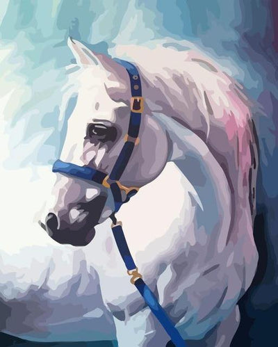 paint by numbers kit Horse 23 - Custom paint by number