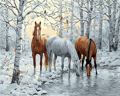 paint by numbers kit Horses 7 - Custom paint by number